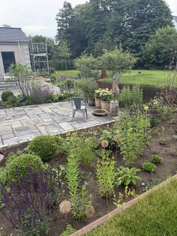 Nyplantet staudebed med salvie og buksbom ved en flisebelagt terrasse.