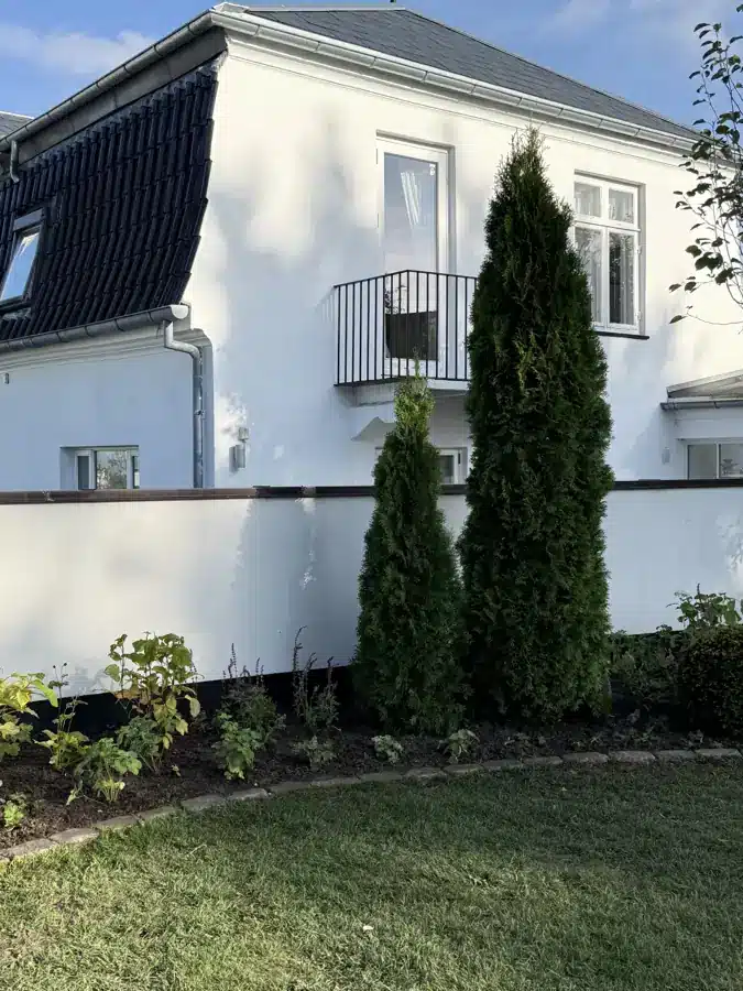 Søjletuja og nye planter i bed foran et hvidt hus.